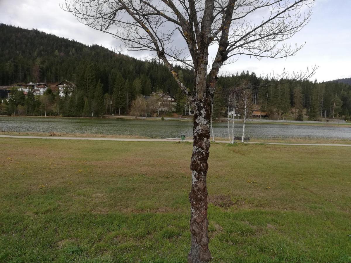 Am Waldweg Apartment *
